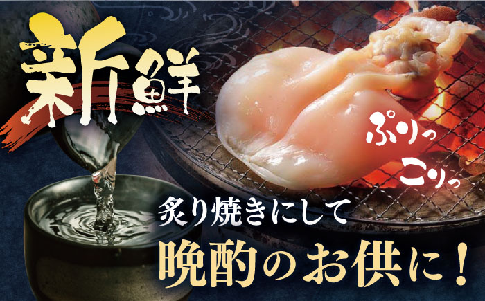 【全6回定期便】【着日指定 可能】【身が厚く柔らかい】漁師の水烏賊一夜干し 約300g（2〜3枚） 平戸市 / 中野漁業協同組合 [KAB244]
