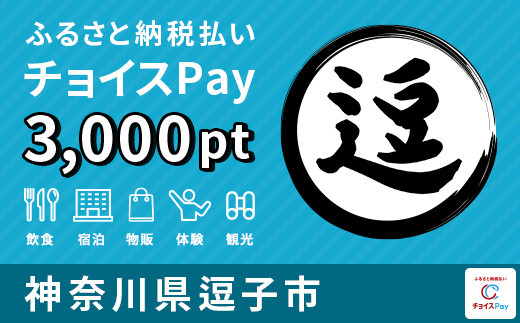 
[№5875-0391]逗子市 チョイスPay 3,000ポイント【会員限定のお礼の品】
