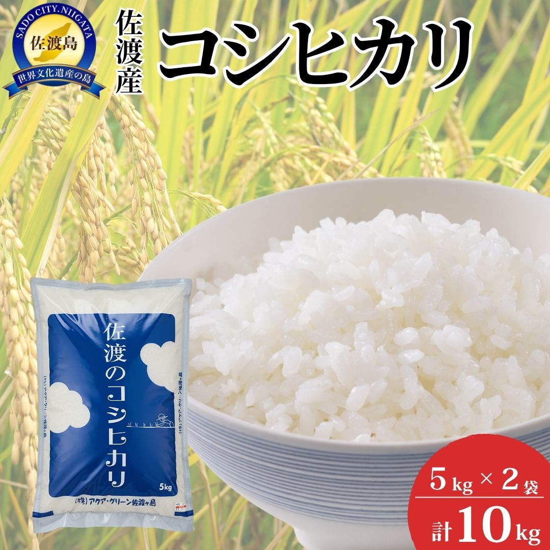 【ふるさと納税】米 コシヒカリ 5kg 2袋 計10kg 令和7年産 佐渡産 精米 農薬化学肥料5割減 こしひかり 白米 単一原料米 ごはん おにぎり お弁当 新潟県 佐渡市