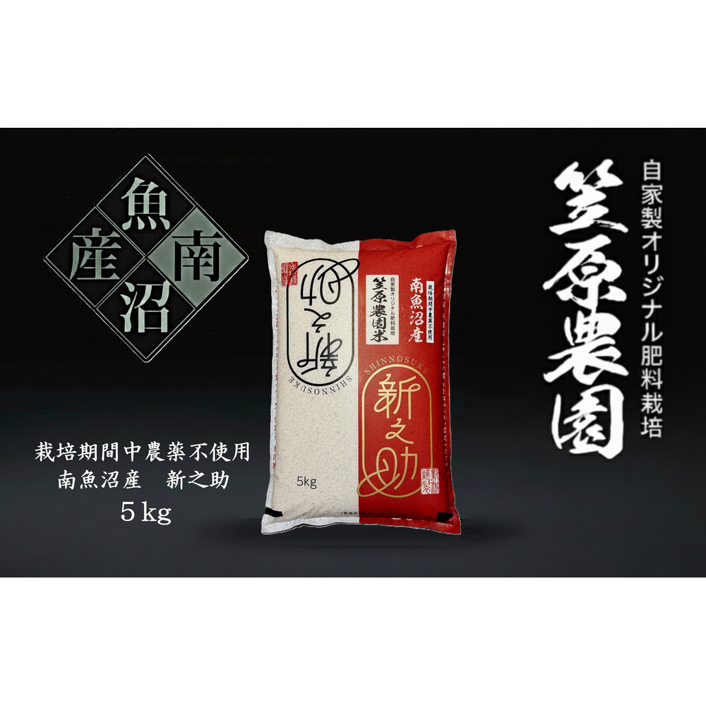 【令和７年産】南魚沼産 笠原農園米 栽培期間中農薬不使用 新之助 5kg