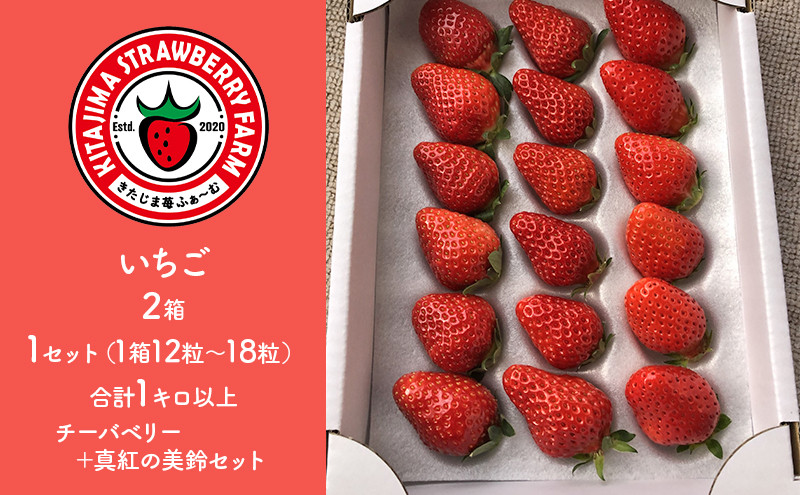 
いちご2種(チーバベリー、真紅の美鈴 各1箱)食べ比べセット [№5743-0424]
