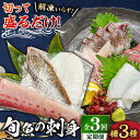 【ふるさと納税】【全3回定期便】 獲れたて 旬魚 の柵 3種 セット（ 刺身 2種＆ イカ 1種）（4～5人前）【平戸市/舘浦漁業協同組合】[KAA518]