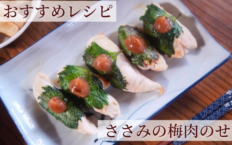 【梅ボーイズ】無添加 紀州南高梅の梅チューブ140g×2本セット（塩・紫蘇）天日塩使用 umehkr019