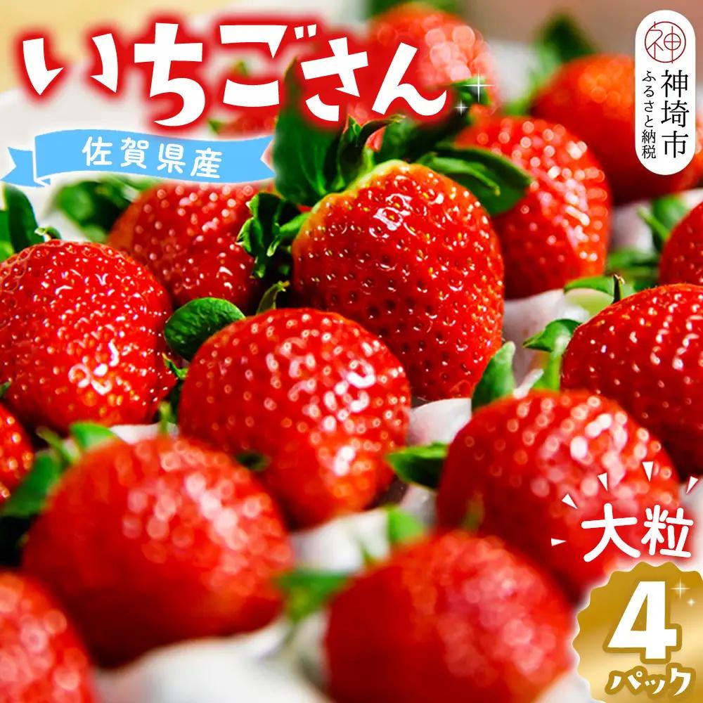 【先行受付 令和9年1月より発送】佐賀県産『いちごさん』4Pセット(H108101)