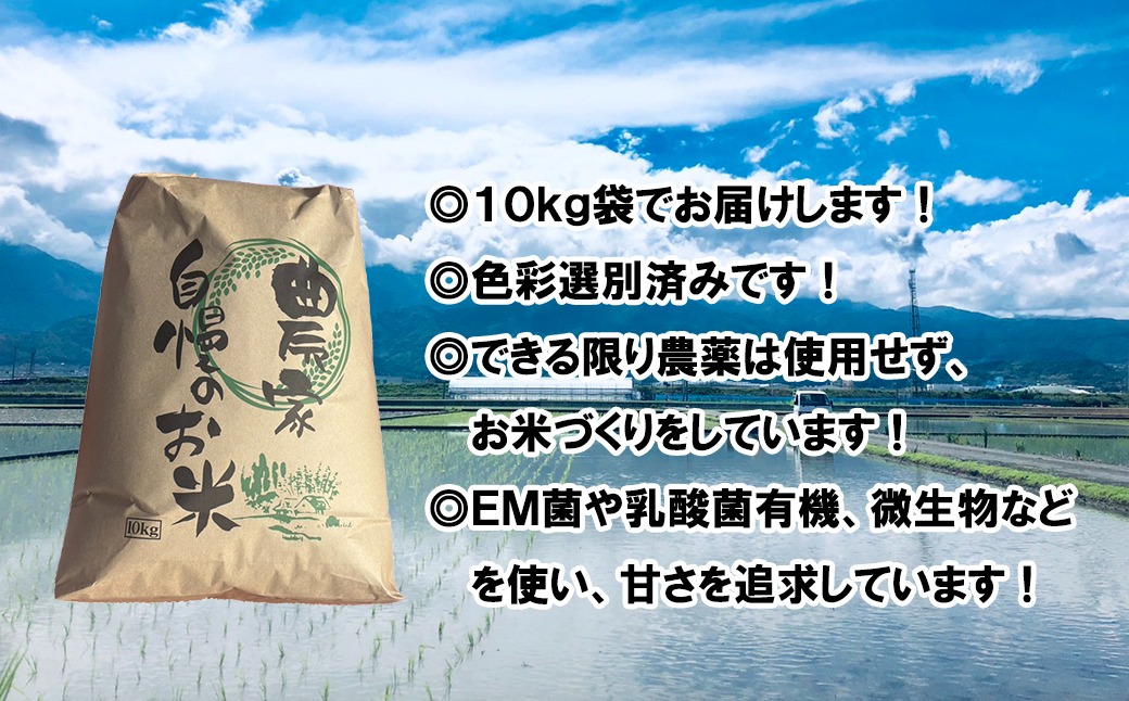 【令和７年度産先行予約】ヒノヒカリ 10kg ※11月以降順次発送予定　精米済み 新米 ひのひかりお米 精米 １０キロ 米 ライス こめ おこめ １０kg