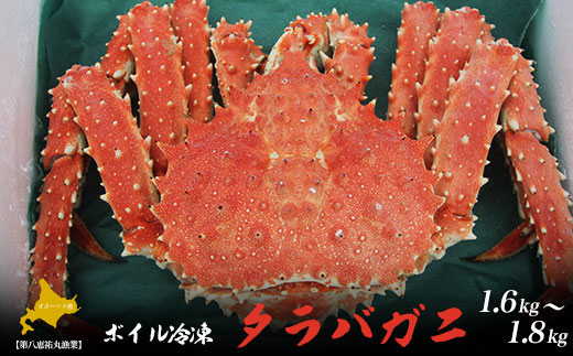 タラバガニ ボイル冷凍 1.6～1.8kg オホーツク産 SRMN004