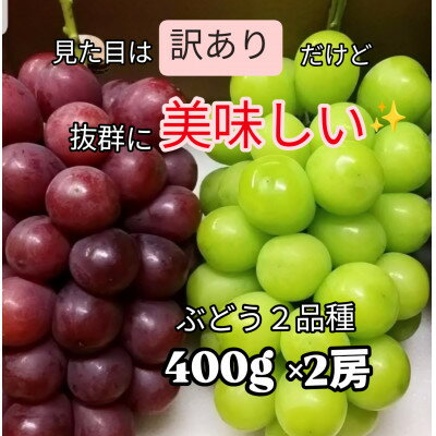 【ふるさと納税】【訳あり】葡萄2色入り化粧箱入り　山梨市産地直送　約400g×2房【配送不可地域：離島】【1178185】