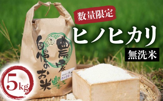 【先行予約】 令和8年度産 ヒノヒカリ 一等米 無洗米 約 5kg 《2026年11月から発送》  京都 お米  ごはん つや 5キロ 白米 おいしい ブランド 久御山 ひのひかり【数量限定】