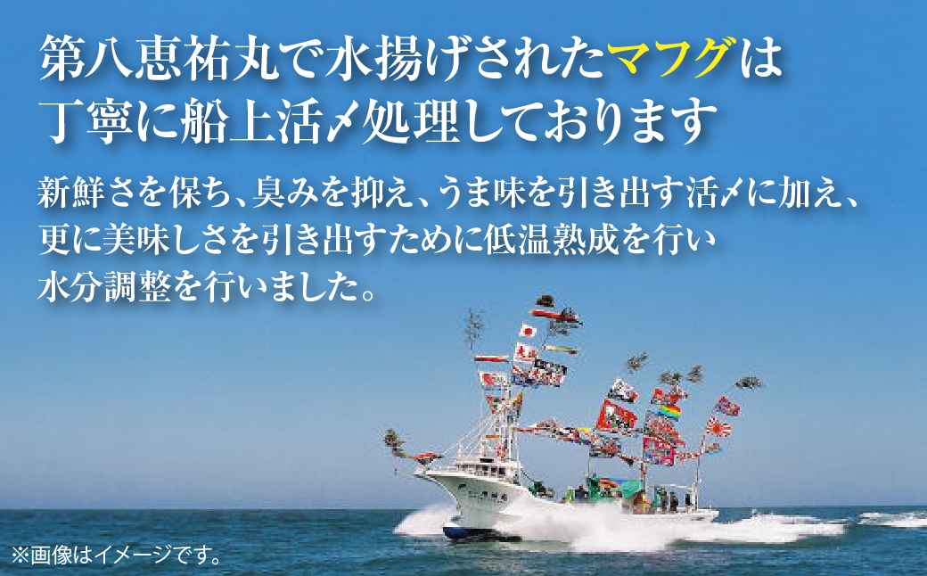 マフグたっぷり！ ふくカレー×4【北海道オホーツク海産フグ】 SRMN028