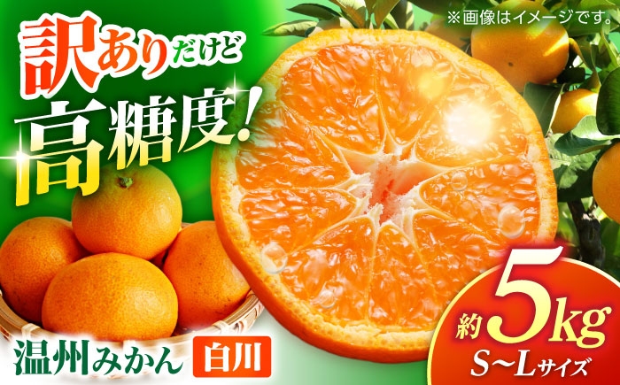 
                  【先行予約】 訳あり 温州みかん 『白川』 約5kg S～Lサイズ 【奥村果実園】 [ZFK003]
                