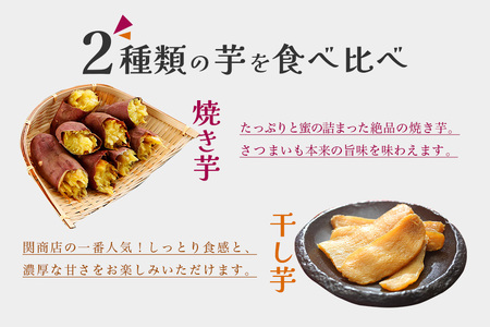 【期間限定】 紅はるか 食べ比べセット（焼き芋1.5kg・干し芋440g） 関商店 焼き芋 焼芋 やきいも 焼いも ほしいも 干芋 干しいも べにはるか ベニハルカ 食べくらべ 62-A ＜2027年