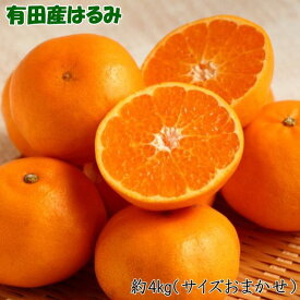 ZD6376n_【厳選・濃厚】【2026年先行予約】 紀州有田産のはるみ 約4kg(サイズおまかせ)【ハルミ 春見 ミカン 蜜柑 柑橘 和歌山 有田】