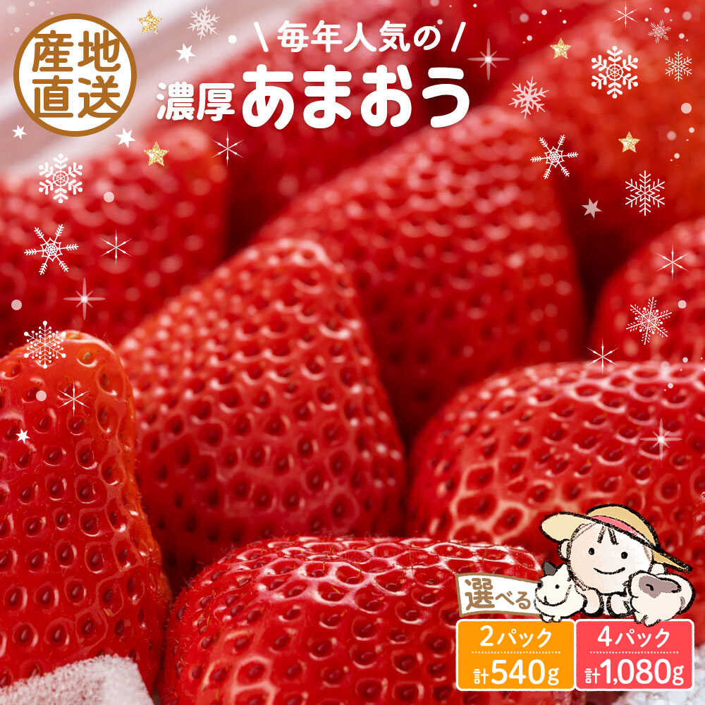 【ふるさと納税】【先行予約】あまおう 540g 1080g 2パック 4パック ココロファームの濃厚あまおう【2026年12月中旬～翌4月上旬発送】《豊前市》【ココロファーム】[VAE009] 苺 いちご あまおう 福岡県産