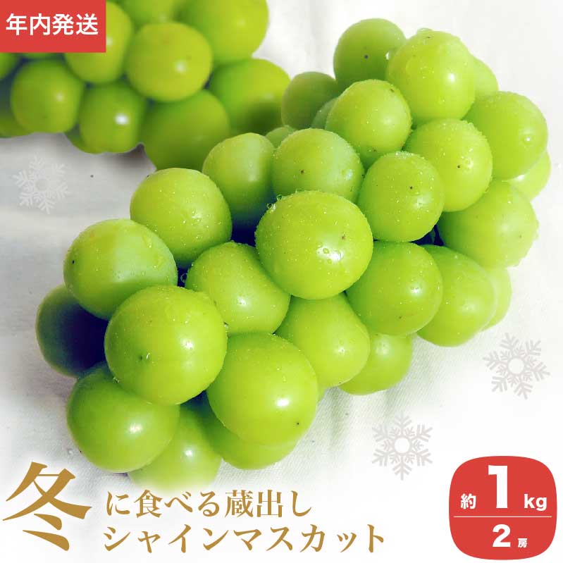 年内配送 蔵出し冬のシャインマスカット 約1kg 2房 ［小布施屋］ぶどう フルーツ 果物 くだもの 長野県 先行予約 冷蔵便 クール便  産地直送 令和7年産【2025年12月発送】