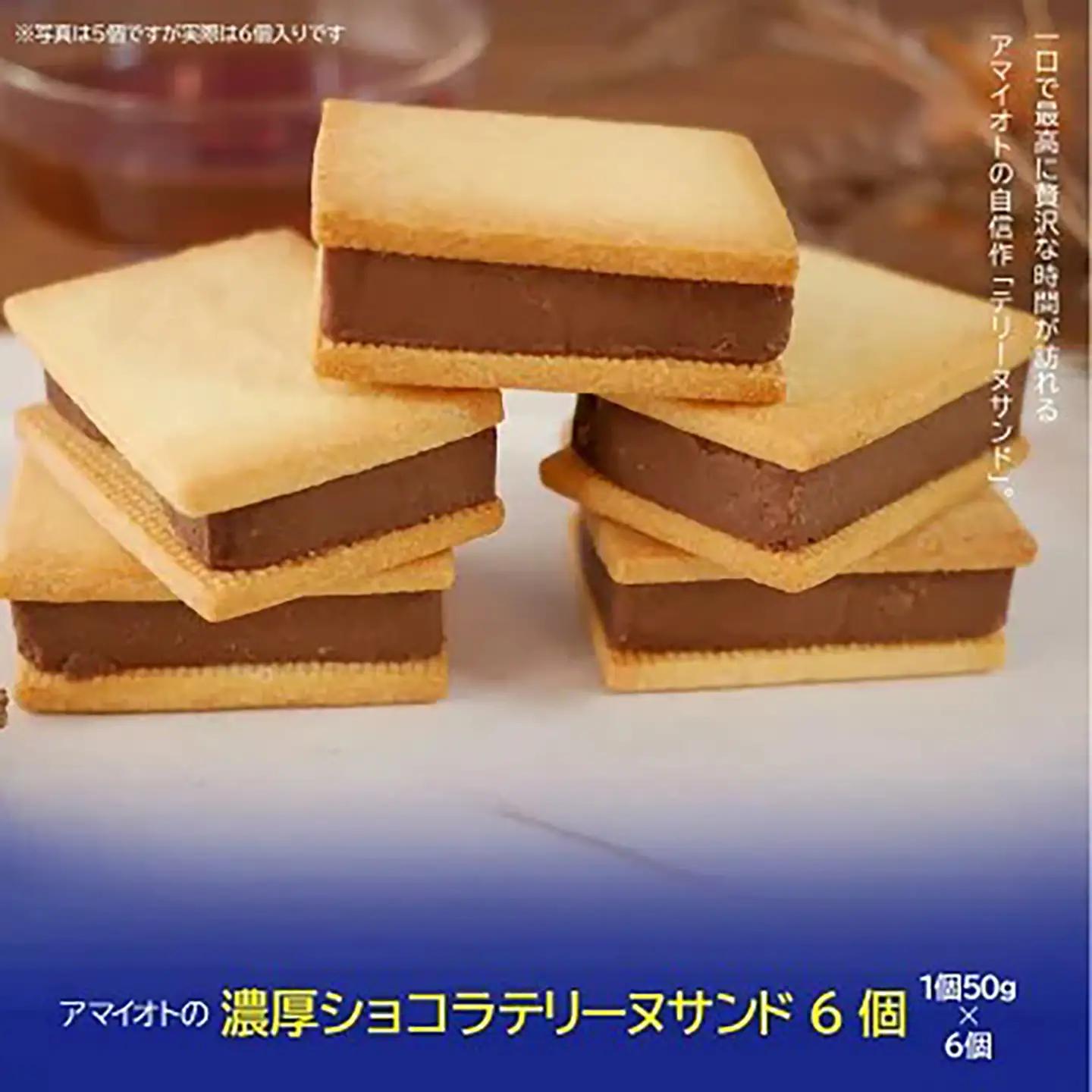 テリーヌ アマイオトの芳醇ショコラテリーヌサンド6個