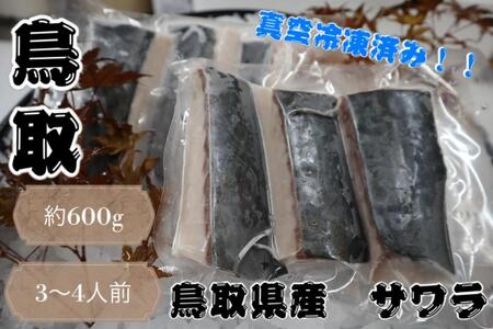 【先行予約】鳥取県産 サワラ６００g（３００g×２パック） 国産 サワラ 鰆 生食用 真空冷凍 サワラ サワラ サワラ サワラ サワラ