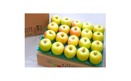 ＜25年12月出荷予定＞平均糖度13度以上! ぐんま名月 約5kg おもてなし用【1612895】