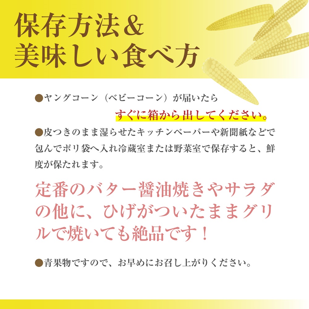【2025年5月中旬から発送】「ヤングコーン」25～35本入り 2kg箱 株式会社アグリ甲斐（山梨県市川三郷町産） [5839-2217]