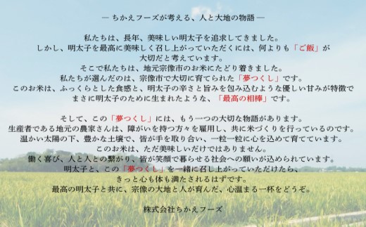 宗像産 夢つくし 10kg（5kg×2）【ちかえフーズ】_HA1808