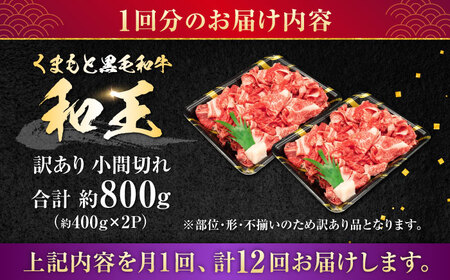 【全12回定期便】【訳あり】熊本県産 A5等級 和王 赤身肉 小間切れ 約400g×2P 計約9.6kg【帝神志方ミート 株式会社】[AYCH085]