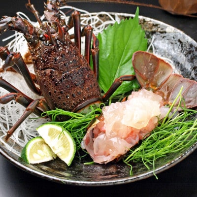 刺身用活〆冷凍伊勢海老900g【配送不可地域：離島】