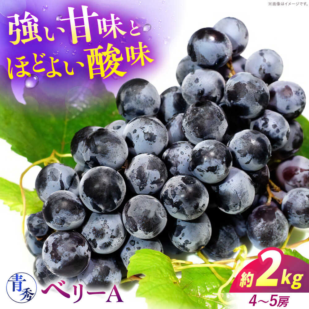 【ふるさと納税】ぶどう【2026年先行予約】＜9月上旬から順次発送＞ ベリーA 2kg（4から5房） 青秀 露地栽培 ベリーA ぶどう 葡萄 ブドウ フルーツ 果物 くだもの 甘い デザート 11000円 三次市/西田ぶどう園[APCM012]