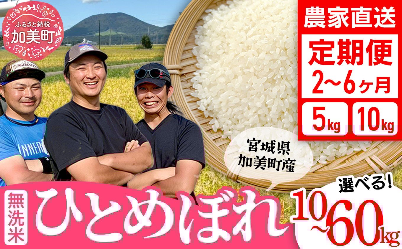 
            【無洗米】【選べる配送回数】 米 宮城県産 ひとめぼれ 5kg 10kg 定期便 《 令和7年産 新米 》 白米 精米 ご飯 ごはん コメ こめ お米 小分け 家庭用 結心ファーム [ 宮城県 加美町 ]  
          