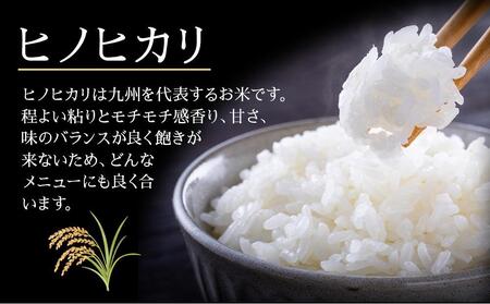 ヒノヒカリ 無洗米 2kg × 4袋 ( 8kg ) 令和7年産｜新米 ヒノヒカリ