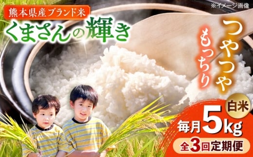 【全3回定期便】【令和7年度】 くまさんの輝き 白米 5kg (1袋) 【TKCラボ（辻米クラブ研究所）】 [AYDI003]