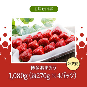 【12月中旬より順次発送】農家直送 朝採り新鮮いちご【博多あまおう】約270g×4パック_いちご 博多 あまおう 農家直送 約 270g × 4パック 朝採り 新鮮 果物 フルーツ ストロべリー 冷蔵