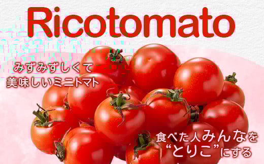 完熟したリコピンをはじめビタミンたっぷりのトマトを一度食べれば、きっとあなたも"とりこ"になるはず。