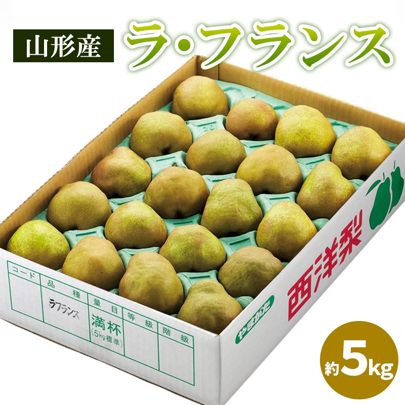 山形のラ・フランス 秀品 約5kg(12～20個) FY25-828