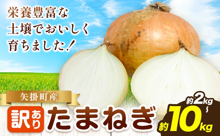矢掛町産 訳あり 玉ねぎ たまねぎ 選べる内容量 大きさ不揃い 訳ありたまねぎ《5月末～7月中旬頃に出荷予定》 約 2kg or 約 5kg or 約 10kg 野菜 岡山県 矢掛町---ofn_ytn_e57_25_4500_2---