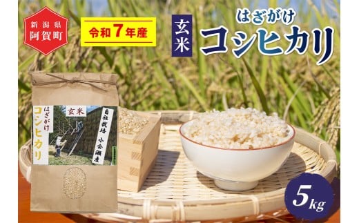 《令和7年産米》越後奥阿賀産はざがけ（天日干し）コシヒカリ　玄米5kg（1袋）