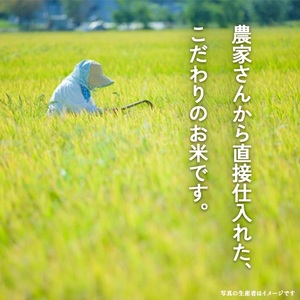 はえぬき 玄米 計10kg 5kg×2袋 令和7年産米 山形県遊佐町産 東北 山形県 遊佐町 庄内地方 米 お米 庄内米 ブランド米 ご飯 ごはん [1445R07]