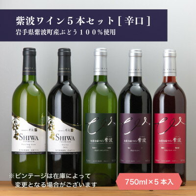 【ふるさと納税】自園自醸ワイン紫波 辛口ワイン5本セット【1688301】