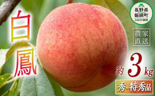 【 品種： 白鳳 はくほう 】 もも 白鳳 秀 ～ 特秀 約 3kg 大垣農園 配送先は本州限定 2025年8月上旬頃から2025年8月中旬頃まで順次発送予定 令和7年度収穫分 信州 果物 フルーツ モモ 桃 はくほう 長野 17000円 予約 農家直送 長野県 飯綱町 [0315]
