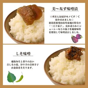 漬物 美～なす 味噌漬け 奈良漬け 紫蘇 味噌 野菜 漬物 漬物 漬物 漬物 漬物 漬物 sakuma001