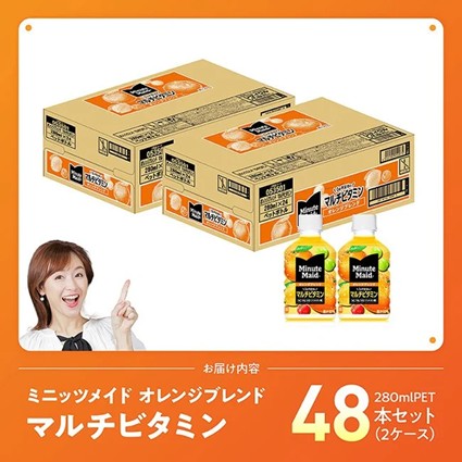 【最速便】コカ・コーラ ミニッツメイド 「オレンジブレンド マルチビタミン」280mlPET 48本（24本×2ケース） 【 ふるさと納税 飲料 オレンジ ジュース ミックス ブレンド PET 川南町 国内産 九州 宮崎県 送料無料 】 [C11129-ss]