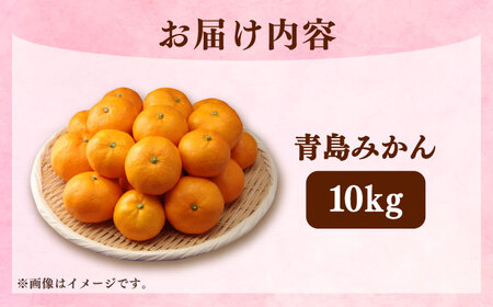 【2027年1月より発送】青島みかん10kg[EAZ009] 温州みかん