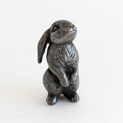 ふるさと納税 高岡市 うさぎ　ご　くろ