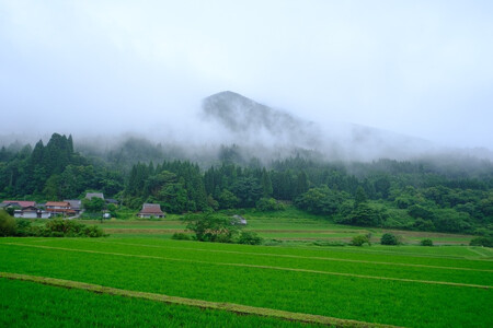 食品添加物不使用 無添加 国産 米こうじみそ 1.5kg(750g×2個)