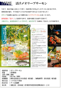 【定期便】瀬戸内海鮮「旬」お届けセット（1年で6回のお届けとなります）【G-1】