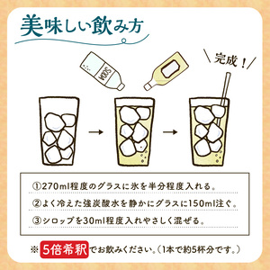 クラフトシロップライムミント 2本 果汁 シロップ ライム 割材 
