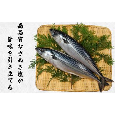 ふるさと納税 銚子市 一汐さば　8kg |  | 01