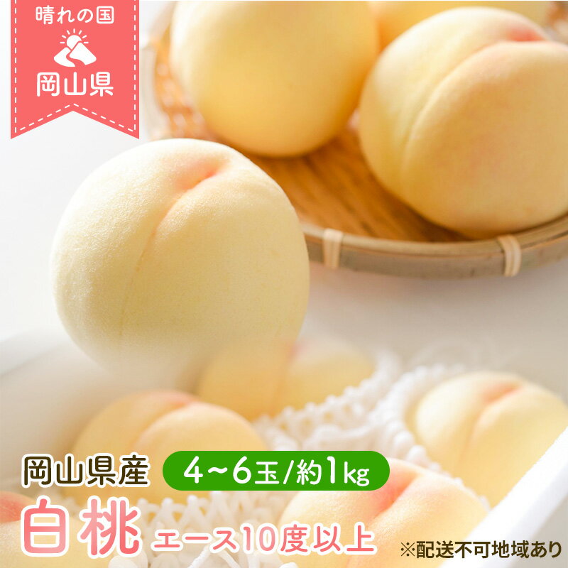 【ふるさと納税】桃 2026年 先行予約 岡山 白桃 エース 4～6玉 約1kg JA おかやま のもも（早生種・中生種） もも モモ 岡山県産 国産 フルーツ 果物 ギフト 　お届け：2026年7月上旬～2026年8月中旬