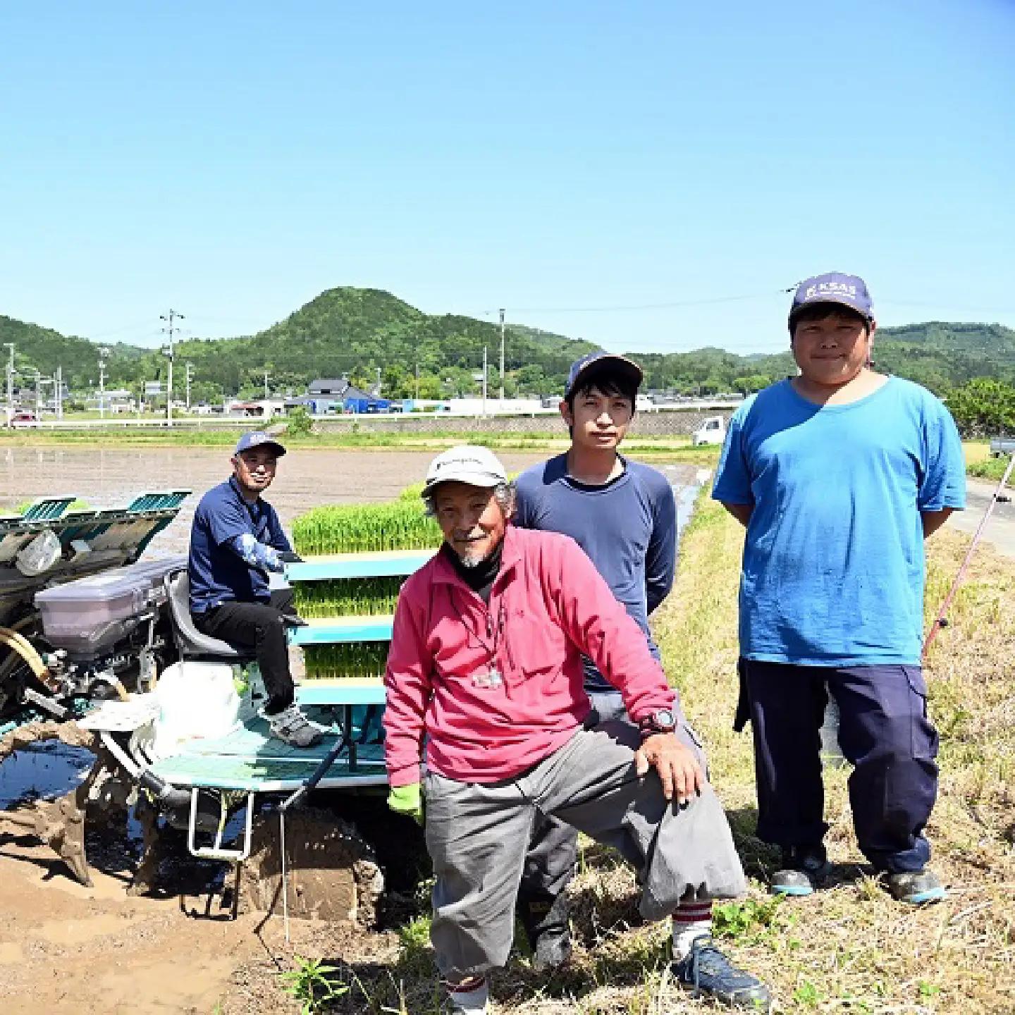 《 先行予約 》 きぬひかり 京丹波町産 10kg 令和8年産米 精米 お米 京都 丹波 キヌヒカリ [024OK002]