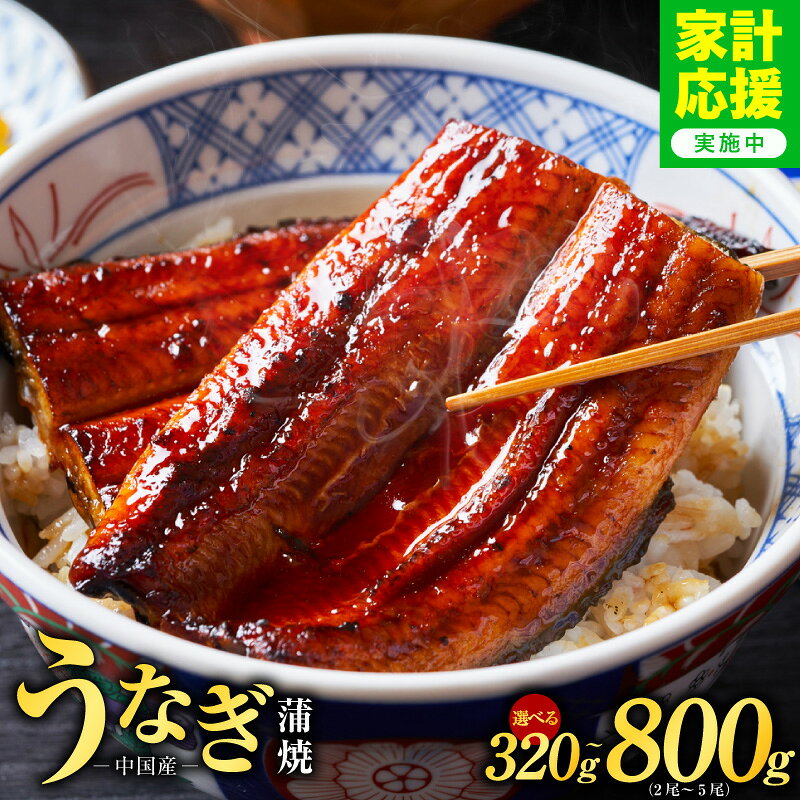 秘伝のたれ仕込み うなぎ蒲焼 合計320g（約160g×2尾）