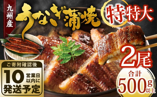 九州産 うなぎ蒲焼 特特大2尾 (1尾あたり250～266g) 合計500g以上【順次発送】