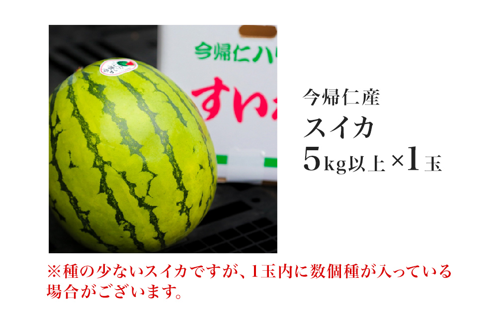  【（有）今帰仁すいか】種が少ない食べやスイカ【2025年3月下旬～5月頃発送】